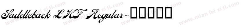 Saddleback LHF Regular字体转换